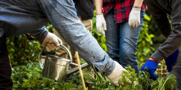 Asking For A Friend: Digging in the dirt without gloves has health risks