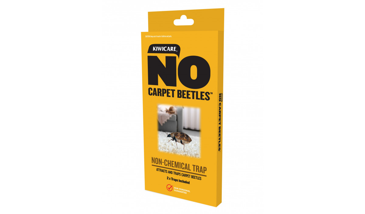 NO Carpet Beetles Non-Chemical Traps | Kiwicare