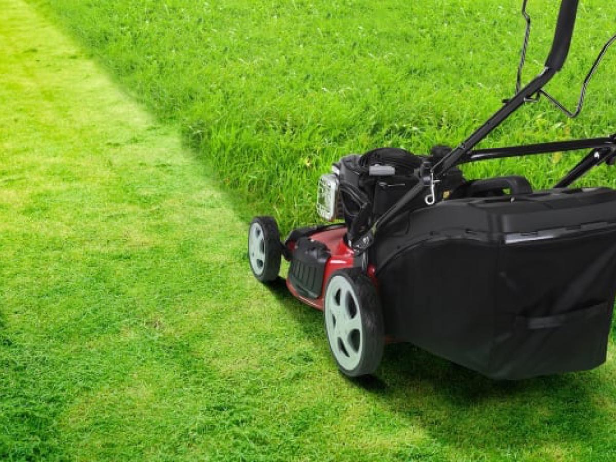 lawn mower grass