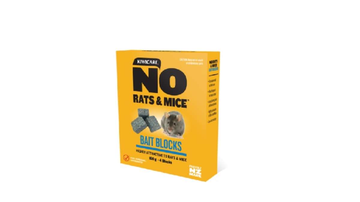 no rats and mice